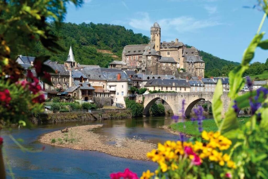 T 2 Dans Village Vacances 3 *** A Saint Geniez 2 Piscines Chauffee Pierrefiche  Buitenkant foto